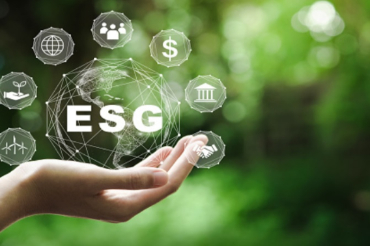 Temas materiais no ESG: o que são?