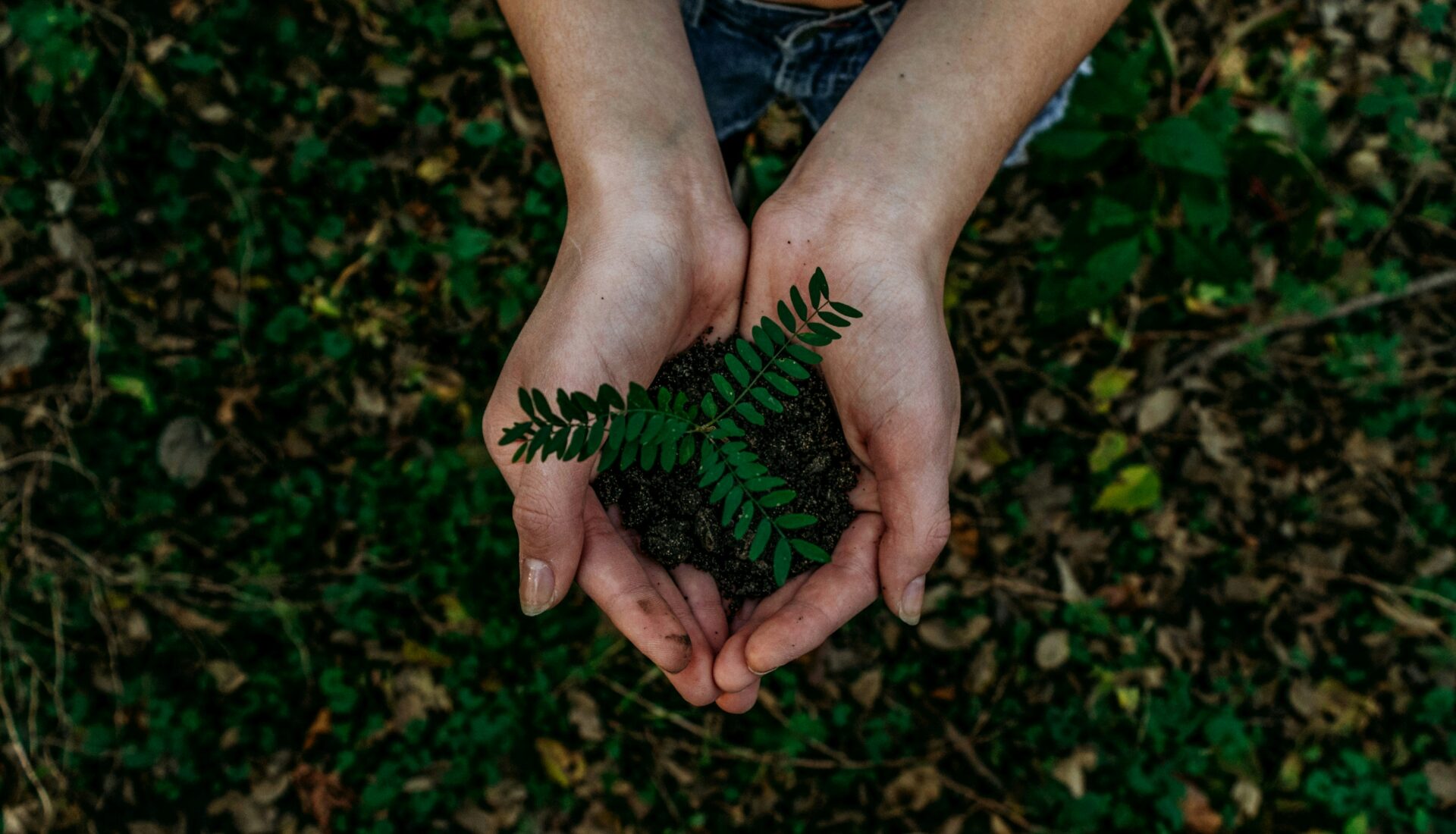 Economia circular é a alternativa sustentável ao modelo linear